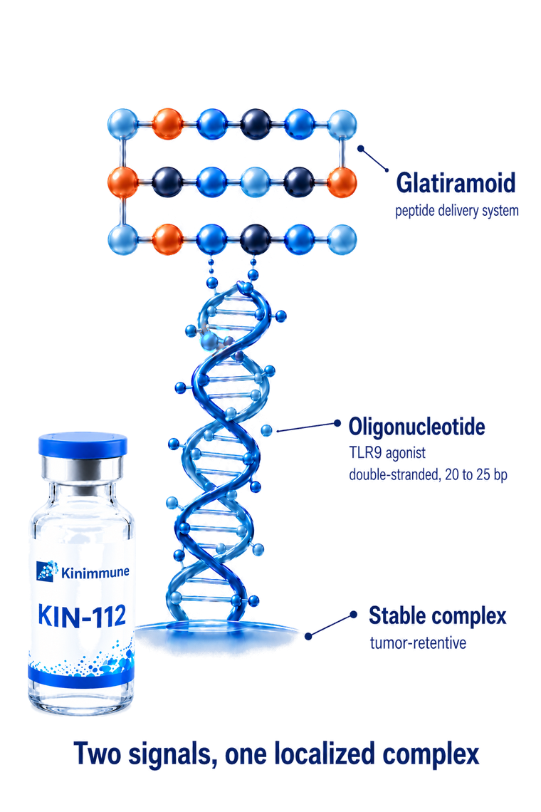 KIN-112: glatiramoid amino-acid peptide complexed with a CpG TLR9 agonist forming a stable, tumor-retentive complex